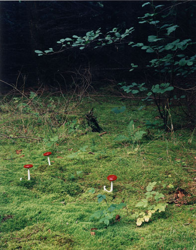 A. Nothelfer